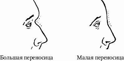 Как распознать преступника _12.jpg