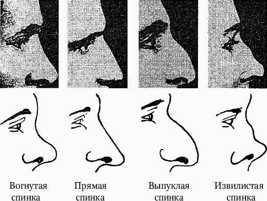 Как распознать преступника _13.jpg