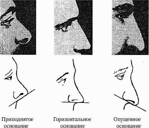 Как распознать преступника _14.jpg