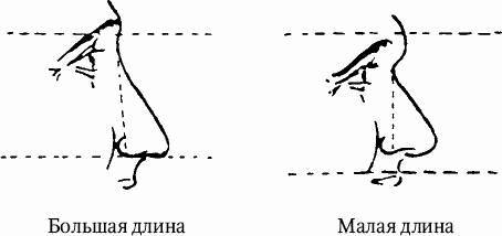 Как распознать преступника _15.jpg