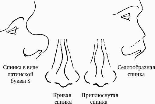 Как распознать преступника _16.jpg