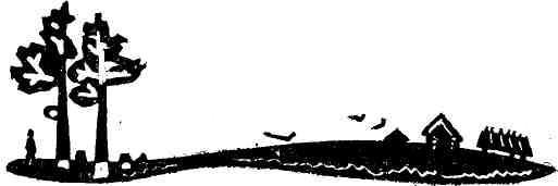 img_5.jpeg