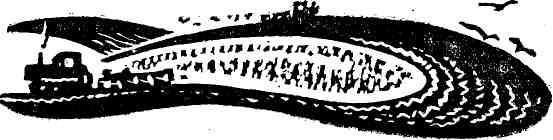img_7.jpeg