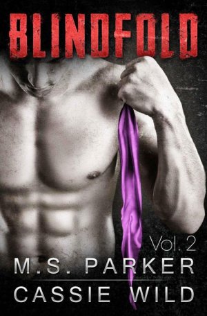 Blindfold Vol. 2