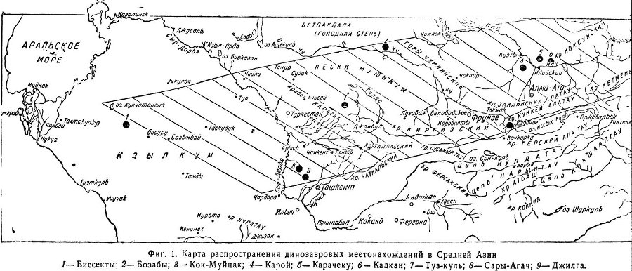 Динозавровый горизонт Средней Азии и некоторые вопросы стратиграфии Ef2.jpg