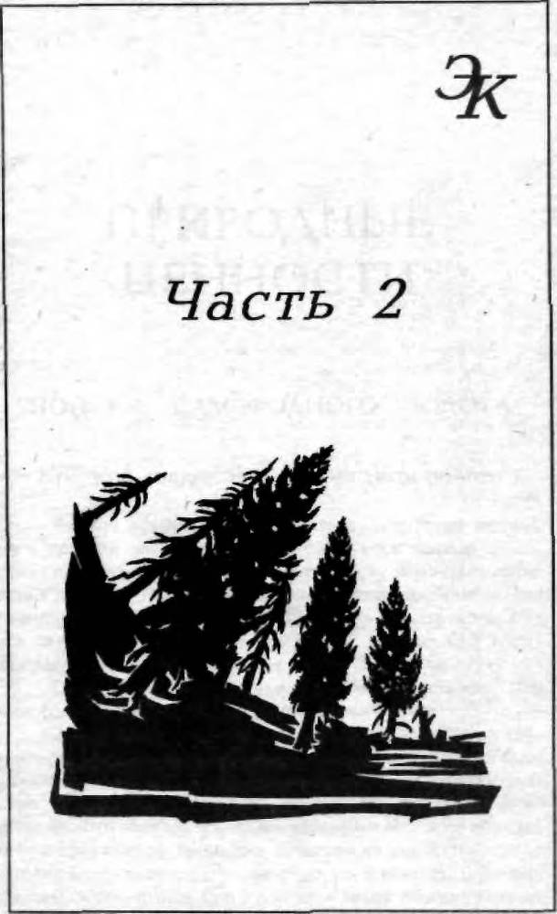 Энциклопедия кладоискателя _54.jpg