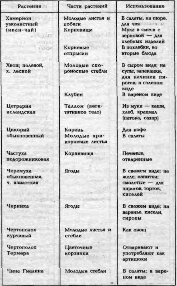 Энциклопедия кладоискателя _99.jpg