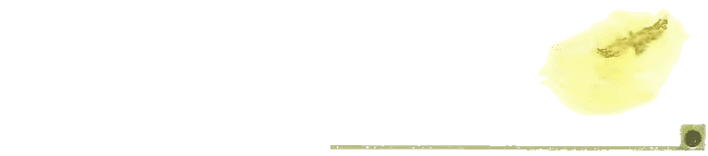 Китайские народные сказки i_014.png