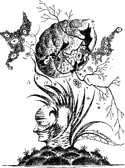 Хозяева драконов (сборник) i_002.png