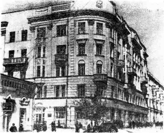 Северный летучий img_18.jpeg