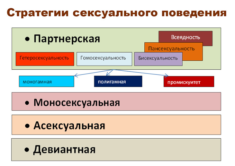 Половое воспитание детей и подростков image12_55f6904e4b46621515a73c11_jpg.jpeg