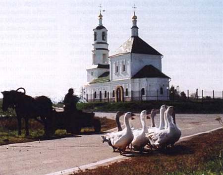 Полное собрание сочинений. Том 22. Прогулки по опушке _41.jpg