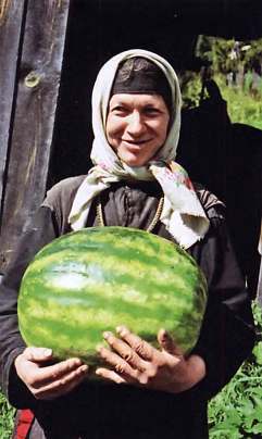 Полное собрание сочинений. Том 22. Прогулки по опушке _70.jpg