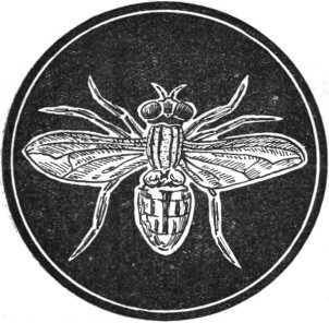 i_001.jpg