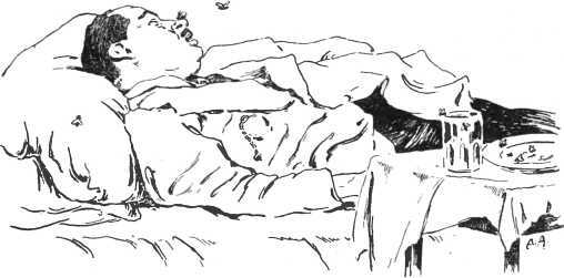 i_003.jpg