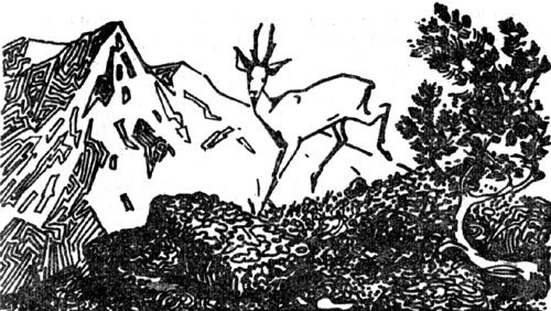 Тропы Алтая i_017.jpg