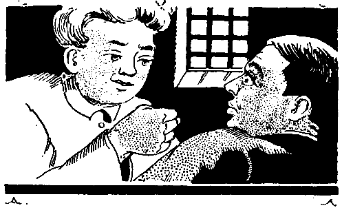 pic_12.png