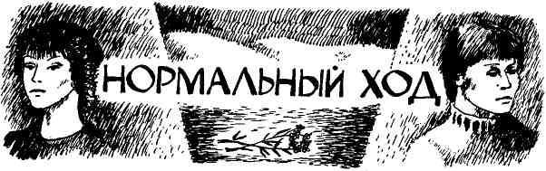 Таволга img_20.jpeg