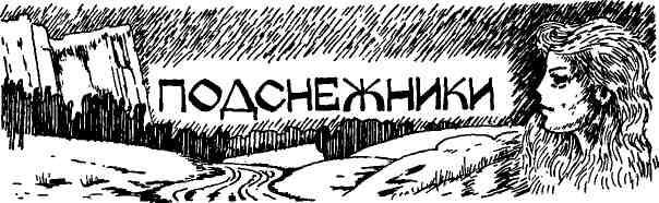 Таволга img_25.jpeg