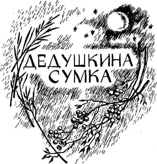 Таволга img_33.jpeg