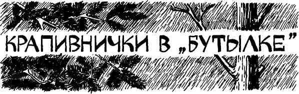 Таволга img_59.jpeg