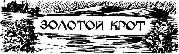 Таволга img_61.jpeg