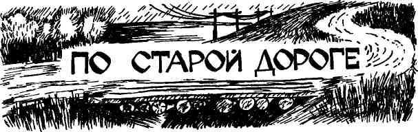 Таволга img_88.jpeg