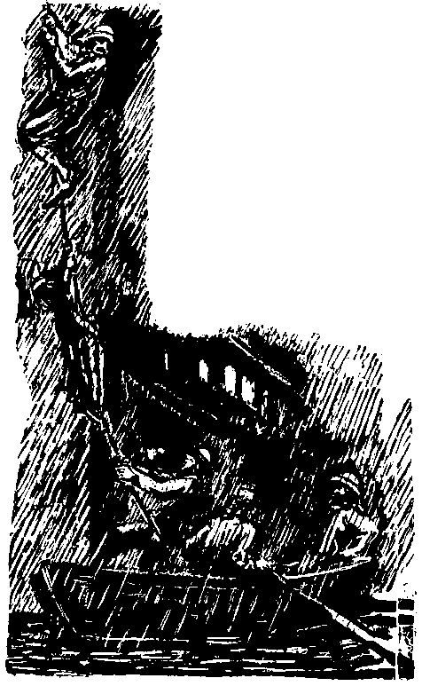 Дунайский лоцман. Необыкновенные приключения экспедиции Барсака pic_41.png