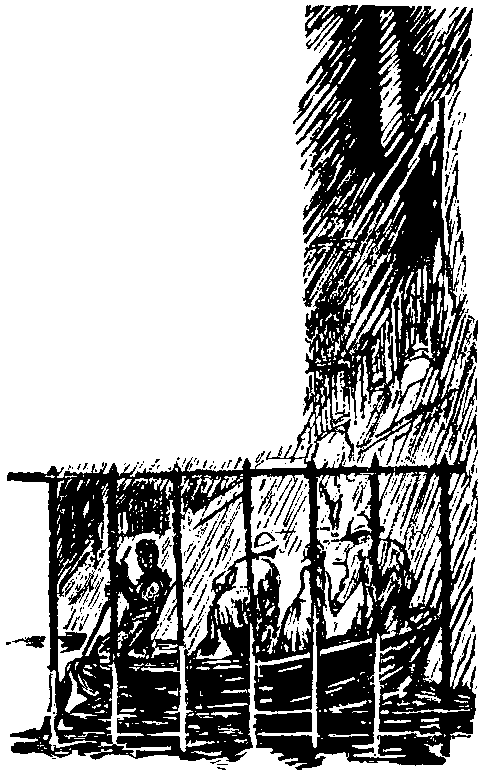 Дунайский лоцман. Необыкновенные приключения экспедиции Барсака pic_42.png