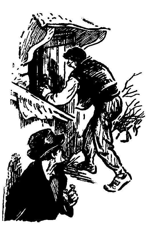Дунайский лоцман. Необыкновенные приключения экспедиции Барсака pic_10.png