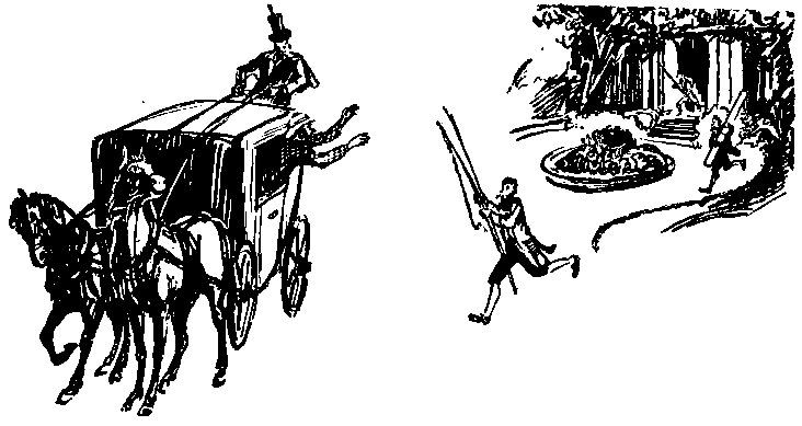 Дунайский лоцман. Необыкновенные приключения экспедиции Барсака pic_25.png