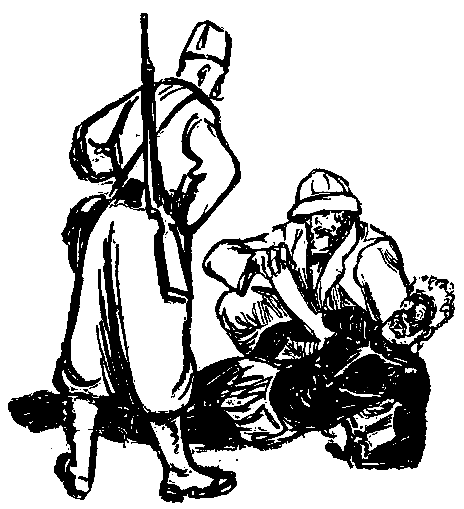 Дунайский лоцман. Необыкновенные приключения экспедиции Барсака pic_31.png