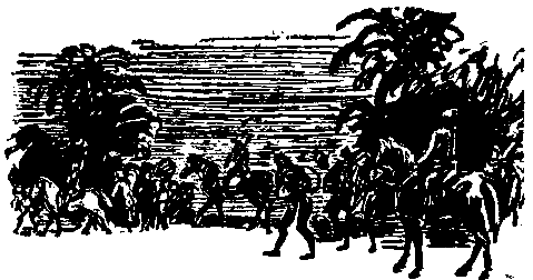 Дунайский лоцман. Необыкновенные приключения экспедиции Барсака pic_32.png