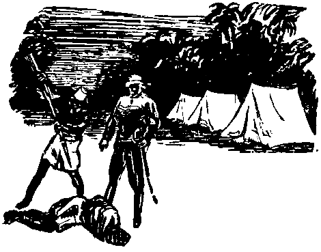 Дунайский лоцман. Необыкновенные приключения экспедиции Барсака pic_33.png