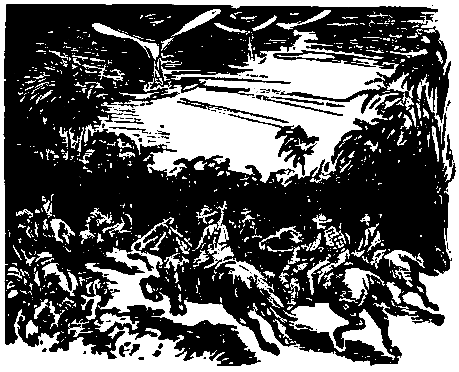 Дунайский лоцман. Необыкновенные приключения экспедиции Барсака pic_38.png