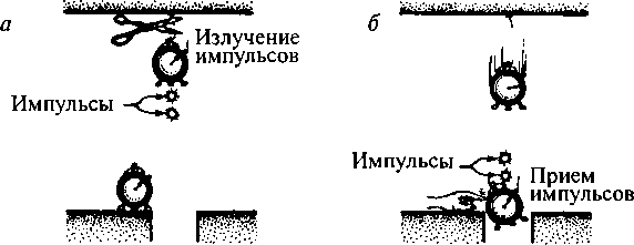 Черные дыры и складки времени. Дерзкое наследие Эйнштейна i_020.png