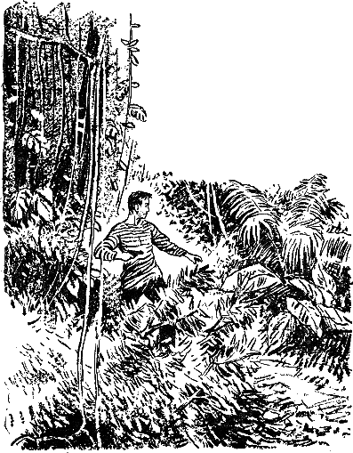 Зубы дракона, Властелин мира id121066_i_009.png