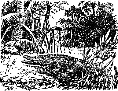 Зубы дракона, Властелин мира id121066_i_010.png
