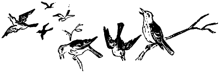 Мы с Севой в лесу i_014.png