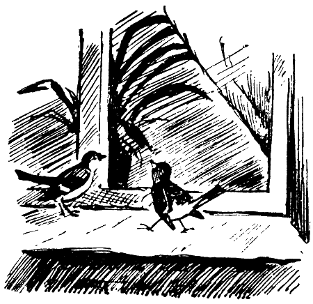 Мы с Севой в лесу i_017.png