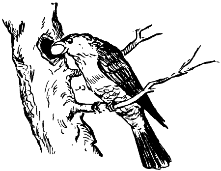 Мы с Севой в лесу i_019.png