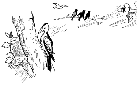 Мы с Севой в лесу i_022.png