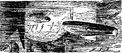 Изгнание владыки i_012.png