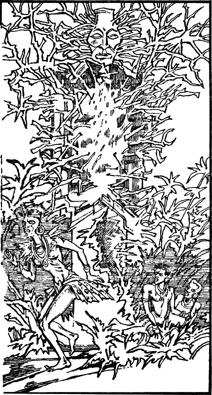 Африканский Кожаный чулок i_008.png