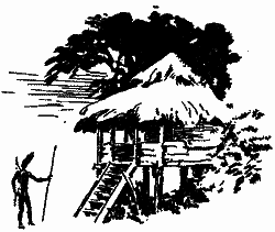 Серед дикунів Нової Гвінеї im_023.png