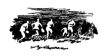 Город может спать спокойно (сборник) pic_5.png
