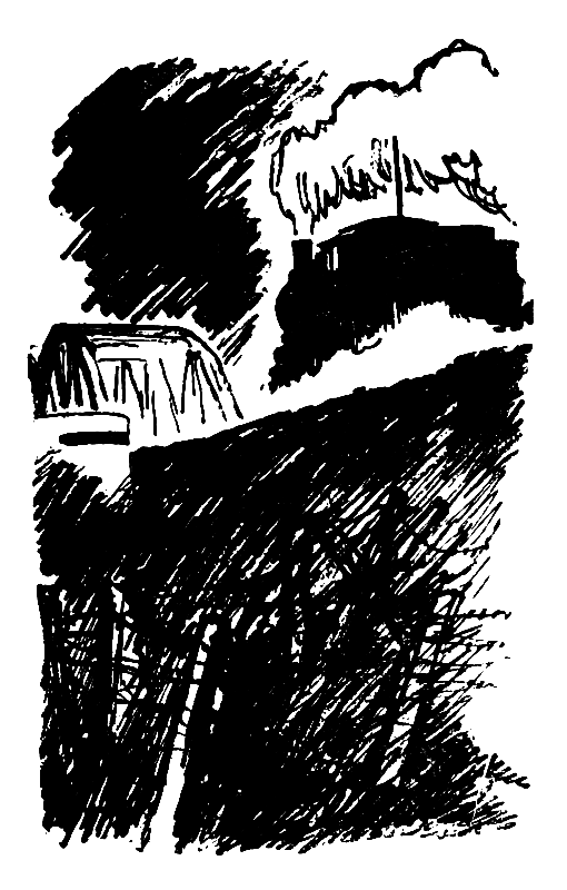 Город может спать спокойно (сборник) pic_7.png