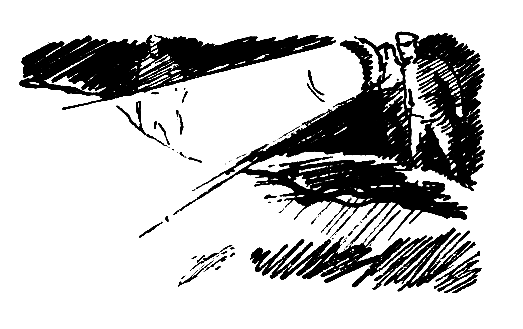 Город может спать спокойно (сборник) pic_12.png