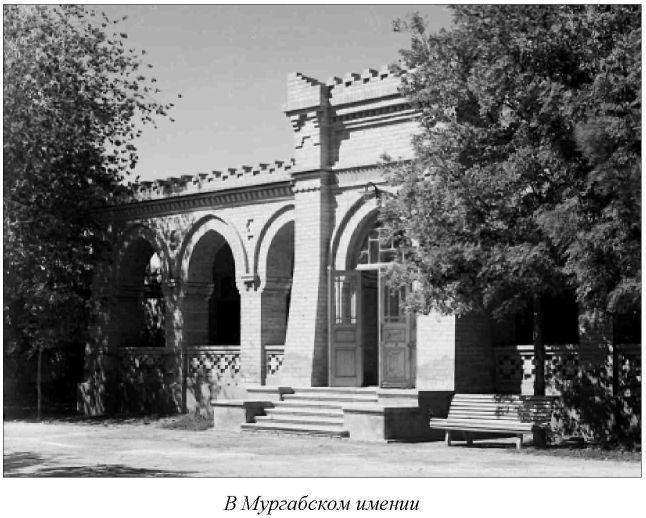Среди сыпучих песков и отрубленных голов _15.jpg