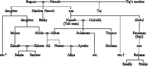Salt and Saffron i_001.jpg